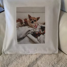 kussen chihuahua leuk voor op de bank kussen chihuahua leuk voor op de bank