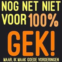 T-Shirt nog net niet 100% gek